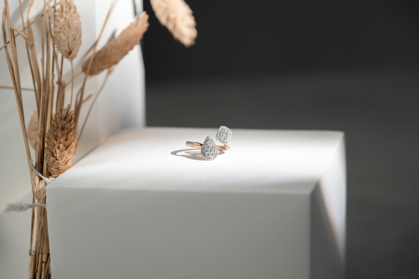 FisGold 星芒絢影 鑽⽯簇鑽戒 FisGold Stellar Glimmer Cluster Diamond Ring